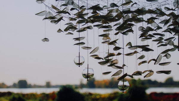 Current Collection - Valse au Crépuscule - Suspension Light